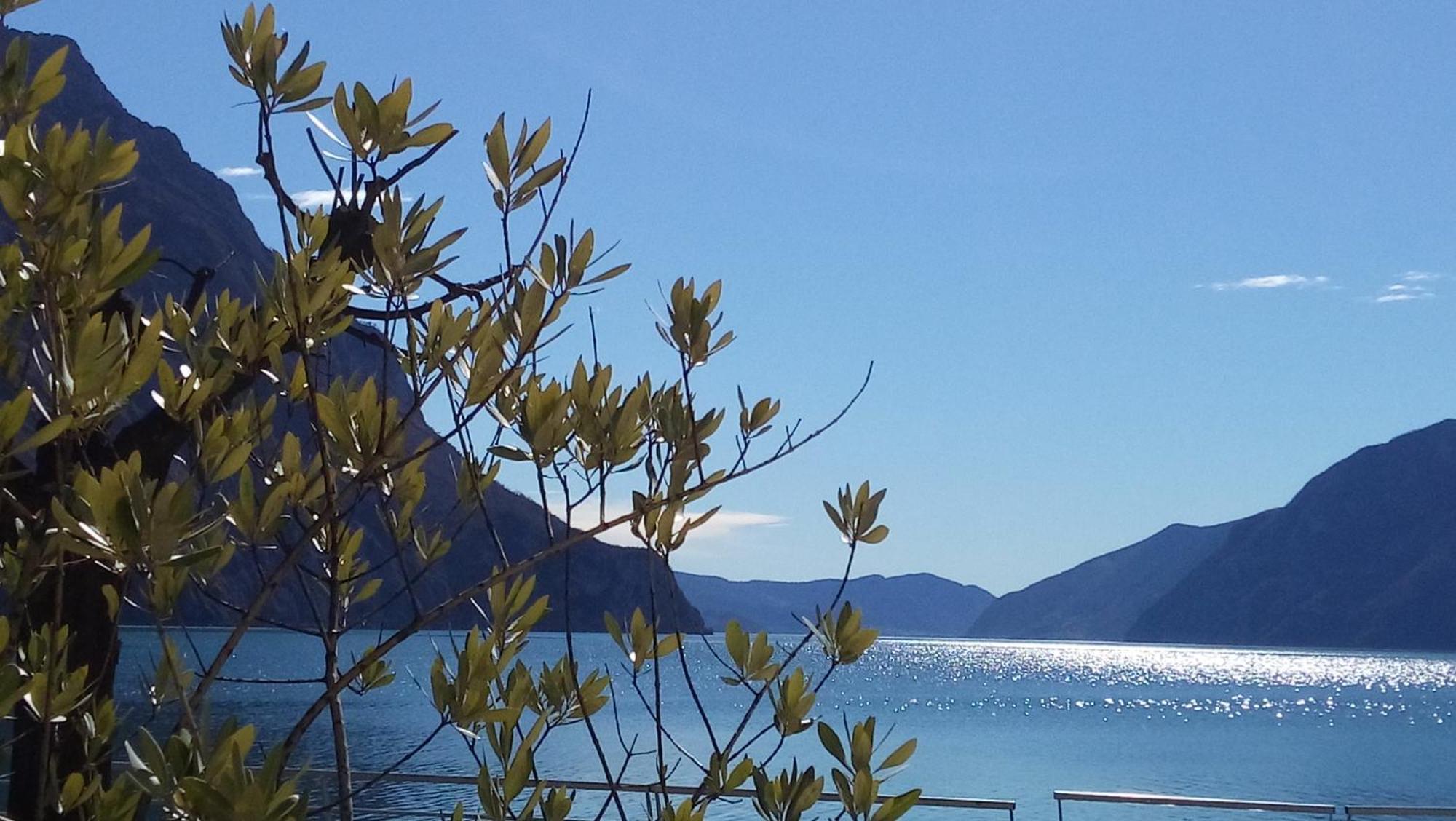 Ca Del Lac Castro  エクステリア 写真